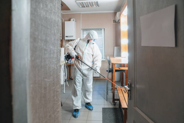 Best Emergency Mold Remediation  in Mineralwells, WV