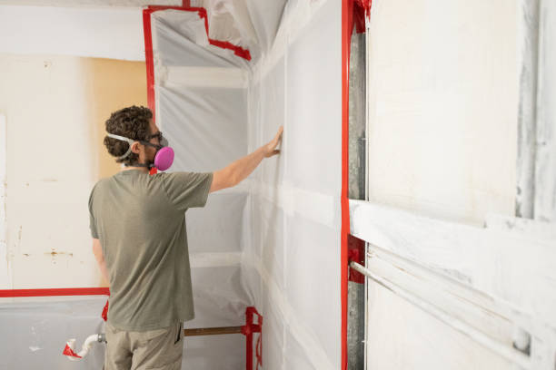 Best Mold Removal for HVAC Installations  in Mineralwells, WV