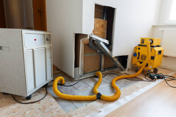 Best Comprehensive Air Testing for Mold Contaminants  in Mineralwells, WV